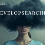 developsearcher.site