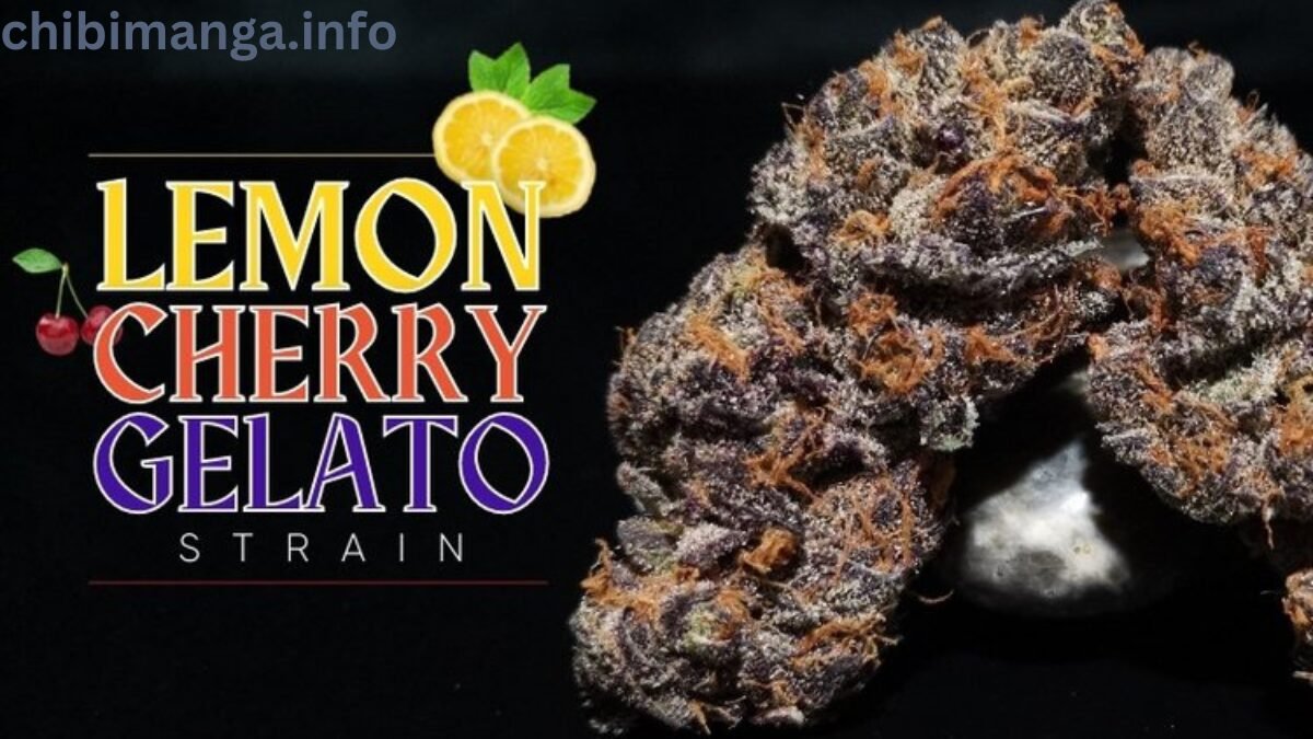 Lemon Cherry Gelato Weed Strain Information