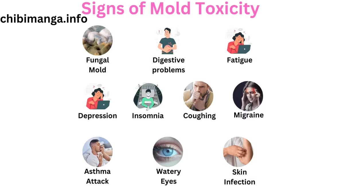 10 Warning Signs of Mold Toxicity You Shouldn't Ignore