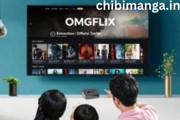 Overview of OMGflix