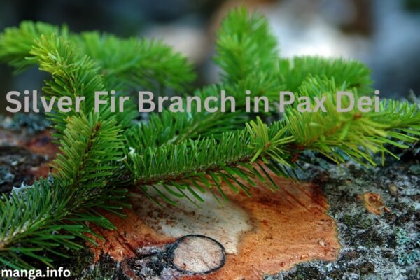 Silver Fir Branch in Pax Dei