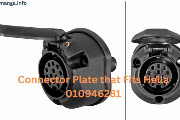 the Connector Plate that Fits Hella 01094628