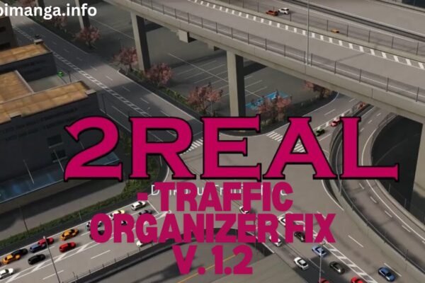 2Real - Traffic Organizer Fix v. 1.2