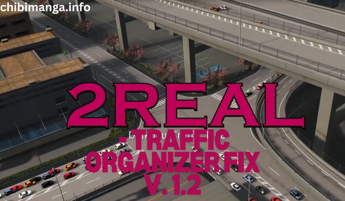 2Real - Traffic Organizer Fix v. 1.2