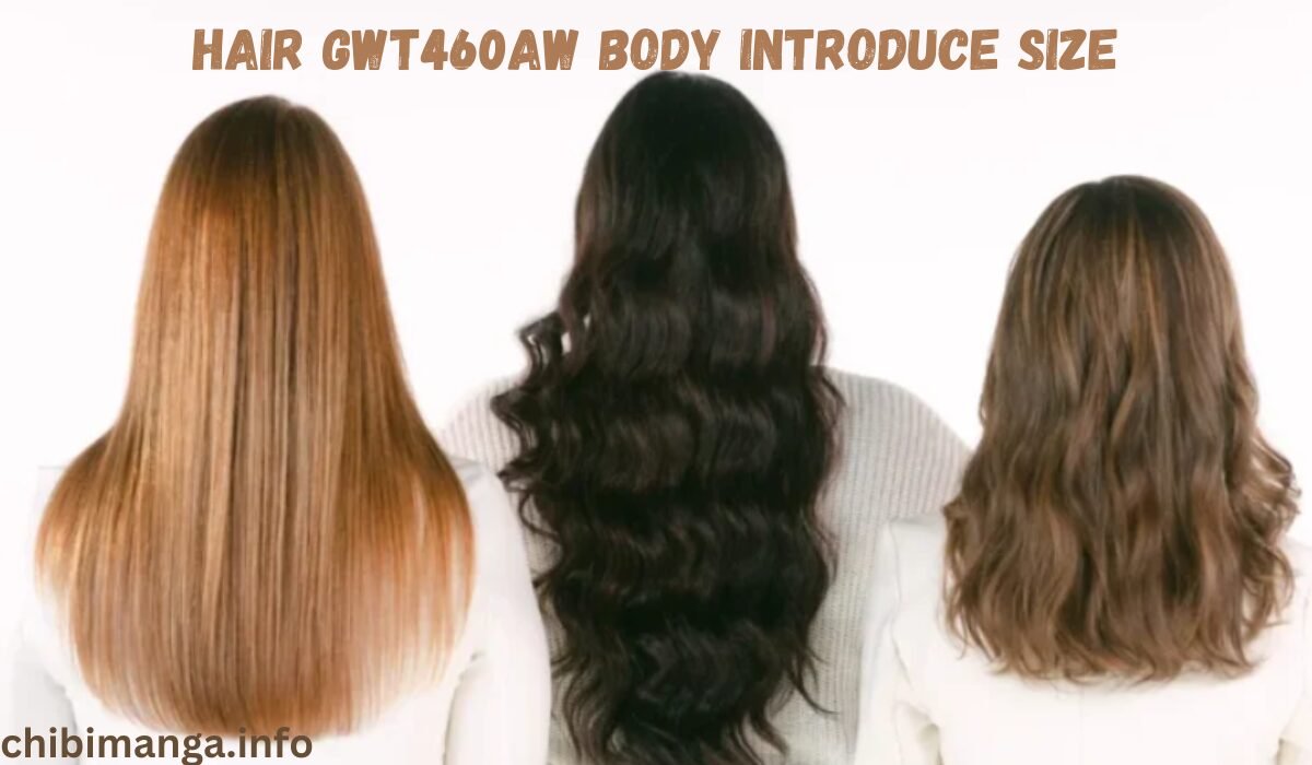 Hair GWT460AW Body Introduce Size